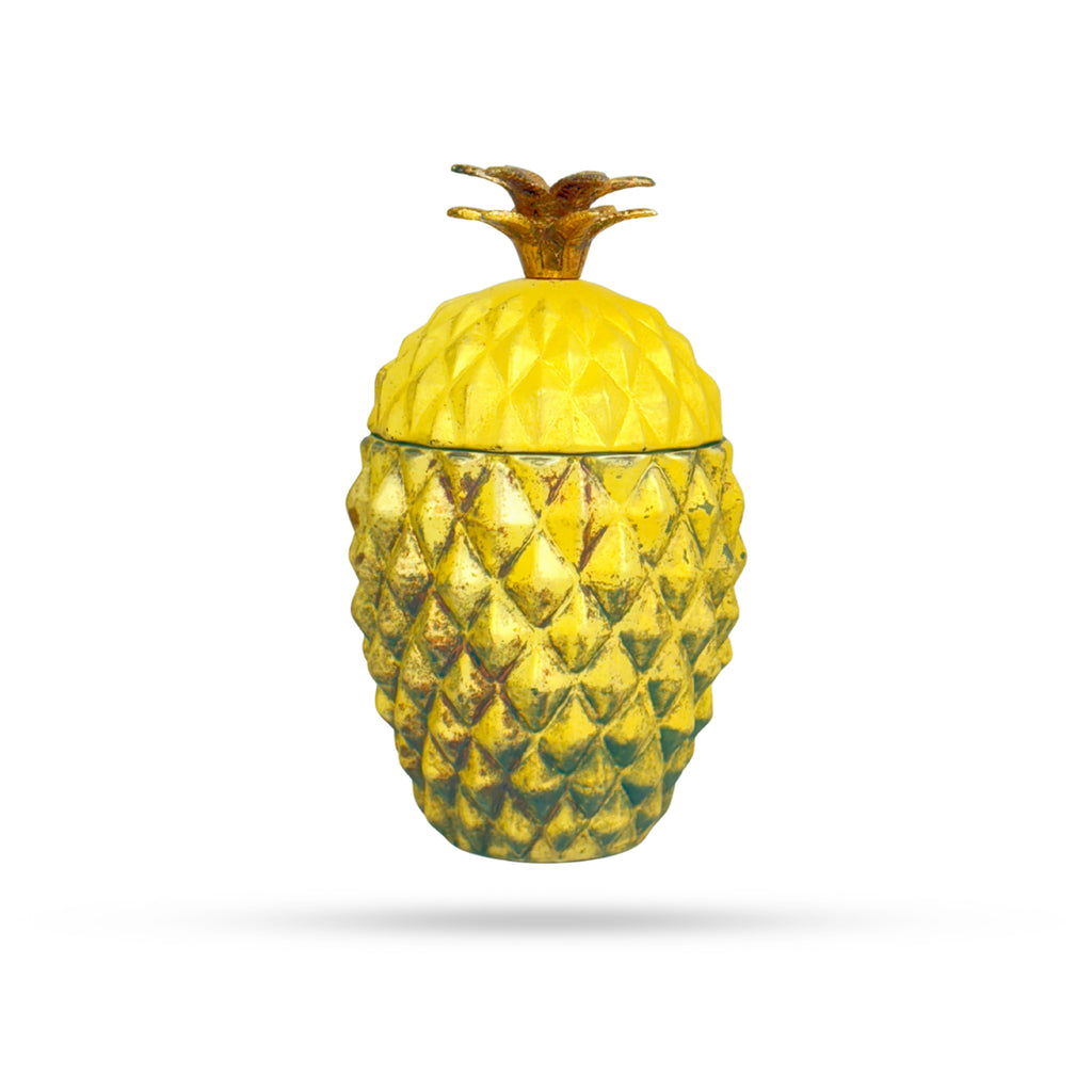 Pineapple Jar Container – Quirky Tropical Decor